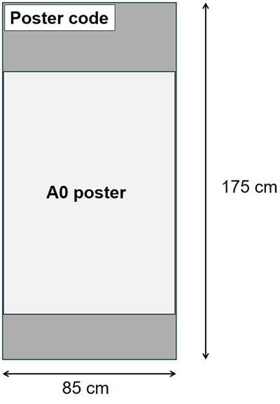 Poster size